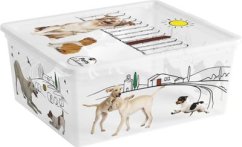 Box s vekom KIS C Style Pets M, 18L, 34x40x17 cm